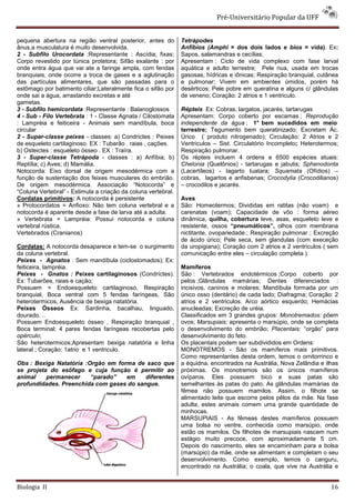 Pré-Universitário Popular da UFF


pequena abertura na região ventral posterior, antes do         Tetrápodes
ânus,a musculatura é muito desenvolvida.                       Anfíbios (Amphi = dos dois lados e bios = vida). Ex:
2 - Subfilo Urocordata :Representante : Ascídia; fixas;        Sapos, salamandras e cecílias;
Corpo revestido por túnica protetora; Sifão exalante : por     Apresentam : Ciclo de vida complexo com fase larval
onde entra água que vai ate a faringe ampla, com fendas        aquática e adulto terrestre; Pele nua, usada em trocas
branquiais, onde ocorre a troca de gases e a aglutinação       gasosas, hídricas e iônicas; Respiração branquial, cutânea
das partículas alimentares, que são passadas para o            e pulmonar; Vivem em ambientes úmidos, porém há
estômago por batimento ciliar;Lateralmente fica o sifão por    desérticos; Pele pobre em queratina e alguns c/ glândulas
onde sai a água, arrastando excretas e até                     de veneno; Coração: 2 atrios e 1 ventriculo.
gametas.
3 - Subfilo hemicordata :Representante : Balanoglossos         Répteis Ex: Cobras, largatos, jacarés, tartarugas
4 - Sub - Filo Vertebrata : 1 - Classe Agnata / Cilostomata    Apresentam: Corpo coberto por escamas ; Reprodução
: Lampréia e feiticeira - Animais sem mandíbula, boca          independente da água ; 1° bem sucedidos em meio
circular                                                       terrestre; Tegumento bem queratinizado; Excretam Àc.
2 - Super-classe peixes - classes: a) Condrictes : Peixes      Úrico ( produto nitrogenado); Circulação: 2 Atrios e 2
de esqueleto cartilaginoso. EX : Tubarão . raias , cações.     Ventriculos – Sist. Circulatório Incompleto; Heterotermos;
b) Osteictes : esqueleto ósseo . EX : Traíra.                  Respiração pulmonar.
3 - Super-classe Tetrápoda - classes : a) Anfíbia; b)          Os répteis incluem 4 ordens e 6500 espécies atuais:
Reptília; c) Aves; d) Mamália.                                 Chelonia (Quelônios) - tartarugas e jabutis; Sphenodonta
Notocorda: Eixo dorsal de origem mesodérmica com a             (Lacertíleos) - lagarto tuatara; Squamata (Ofídios) –
função de sustentação dos feixes musculares do embrião.        cobras, lagartos e anfisbenas; Crocodylia (Crocodilianos)
De origem mesodérmica. Associação “Notocorda” e                – crocodilos e jacarés.
“Coluna Vertebral” - Estimula a criação da coluna vertebral.
Cordatas primitivos: A notocorda é persistente                 Aves
» Protocordatos = Anfioxo: Não tem coluna vertebral e a        São: Homeotermos; Divididas em ratitas (não voam) e
notocorda é aparente desde a fase de larva até a adulta.       carenatas (voam); Capacidade de vôo : forma aéreo
» Vertebrata = Lampréia: Possui notocorda e coluna             dinâmica, quilha, cobertura leve, asas, esqueleto leve e
vertebral rústica.                                             resistente, ossos “pneumáticos”, olhos com membrana
Vertebrados (Cranianos)                                        nictitante, ovopariedade.; Respiração pulmonar ; Excreção
                                                               de ácido úrico; Pele seca, sem glandulas (com execeção
Cordatas: A notocorda desaparece e tem-se o surgimento         da uropigiana); Coração com 2 atrios e 2 ventriculos ( sem
da coluna vertebral.                                           comunicação entre eles – circulação completa ).
Peixes - Agnatos : Sem mandíbula (ciclostomados); Ex:
feiticeira, lampréia.                                          Mamíferos
Peixes - Gnatos : Peixes cartilaginosos (Condríctes).          São : Vertebrados endotérmicos ;Corpo coberto por
Ex: Tubarões, raias e cação;                                   pelos ;Glândulas mamárias; Dentes diferenciados :
Possuem = Endoesqueleto cartilaginoso, Respiração              incisivos, caninos e molares; Mandíbula formada por um
branquial, Boca ventral com 5 fendas faríngeas, São            único osso (dentário) de cada lado; Diafragma; Coração: 2
heterotermicos, Ausência de bexiga natatória.                  atrios e 2 ventriculos. Arco aórtico esquerdo; Hemácias
Peixes Ósseos Ex: Sardinha, bacalhau, linguado,                anucleadas; Excreção de uréia.
dourado. ..                                                    Classificados em 3 grandes grupos: Monotremados: põem
Possuem Endoesqueleto ósseo , Respiração branquial ,           ovos; Marsupiais: apresenta o marsúpio, onde se completa
Boca terminal; 4 pares fendas faríngeas recobertas pelo        o desenvolvimento do embrião; Placentais: “orgão” para
opérculo;                                                      desenvolvimento do feto.
São heterotermicos;Apresentam bexiga natatória e linha         Os placentais podem ser subdivididos em Ordens:
lateral ; Coração: 1atrio e 1 ventriculo.                      MONOTREMOS - São os mamíferos mais primitivos.
                                                               Como representantes desta ordem, temos o ornitorrinco e
Obs : Bexiga Natatória :Orgão em forma de saco que             a équidna, encontrados na Austrália, Nova Zelândia e ilhas
se projeta do esôfago e cuja função é permitir ao              próximas. Os monotremos são os únicos mamíferos
animal    permanecer     “parado”   em    diferentes           ovíparos. Eles possuem bico e suas patas são
profundidades. Preenchida com gases do sangue.                 semelhantes às patas do pato. As glândulas mamárias da
                                                               fêmea não possuem mamilos. Assim, o filhote se
                                                               alimentado leite que escorre pelos pêlos da mãe. Na fase
                                                               adulta, estes animais comem uma grande quantidade de
                                                               minhocas.
                                                               MARSUPIAIS - As fêmeas destes mamíferos possuem
                                                               uma bolsa no ventre, conhecida como marsúpio, onde
                                                               estão os mamilos. Os filhotes de marsupiais nascem num
                                                               estágio muito precoce, com aproximadamente 5 cm.
                                                               Depois do nascimento, eles se encaminham para a bolsa
                                                               (marsúpio) da mãe, onde se alimentam e completam o seu
                                                               desenvolvimento. Como exemplo, temos o canguru,
                                                               encontrado na Austrália; o coala, que vive na Austrália e


Biologia II                                                                                                           16
 