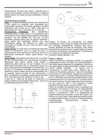 Pré-Universitário Popular da UFF


suficientemente honestos para atribuir a Mendel todo o
sucesso das pesquisas, embora nesta época o monge já
tivesse morrido, sem saber que seria considerado o Pai da
Genética.

Conceitos gerais em genética
Gene: É a unidade hereditária presente nos cromossomos
e que, agindo no ambiente, será responsável por
determinados caracteres do indivíduo. Segmento do DNA
responsável pela síntese de um RNA. Cada gene é
representado por uma ou mais letras. Ex: A, a, XD, etc.
Cromossomos          Homólogos:        São    considerados
homólogos (homo = igual) entre si os cromossomos que
juntos formam um par. Esses pares só existem nas células
somáticas, que são diplóides (2n). Num par, os dois
homólogos possuem genes para os mesmos caracteres.
Esses genes têm localização idêntica nos dois                Existem, no homem, 46 cromossomos nas células
cromossomos (alelos). Na célula-ovo ou zigoto, um            somáticas (do corpo). Cada um desses cromossomos tem
cromossomo é herdado do pai e outro da mãe e ficam           um homólogo correspondente. Podemos dizer que o
emparelhados.                                                homem apresenta 23 pares de homólogos. Para melhor
Locus ou loco: É o local certo e invariável que cada gene    entendimento tomaremos como exemplo células da mosca
ocupa no cromossomo. Loci é o plural de locus. O             da banana (Drosophyla), que apresentam 8 cromossomos
posicionamento de um gene fora do seu locus normal em        ou 4 pares de cromossomos nas células
determinado cromossomo implica, quase sempre, uma            somáticas (células diplóides – 2n).
mutação.
Genes Alelos: São aqueles que formam par e se situam         Fêmea e Macho
em loci correspondentes nos cromossomos homólogos.           Esses cromossomos homólogos sofrerão uma separação
Respondem pelo mesmo caráter. Cada caráter é                 (segregação) durante a formação dos espermatozóides e
determinado pelo menos por um par de genes. Se num           dos óvulos (espermatogênese e ovulogênese), de tal forma
determinado local (locus) de um cromossomo houver um         que estes células sexuais apresentarão metade do número
gene responsável pela manifestação da característica ‘cor    normal (células haplóides – n), ficando com 4
do olho’, no cromossomo homólogo haverá um gene que          cromossomos, no caso desta mosca. Reparem que o
determina o mesmo caráter, em locus correspondente. Se,      macho da Drosophyla apresenta 3 pares de homólogos
por exemplo, houver um gene ‘A’ num cromossomo, o            iguais entre si e 1 par diferente, enquanto que na fêmea há
gene ‘a’ localizado no homólogo correspondente será alelo    4 pares iguais entre si. A este par diferente denominou-se
de ‘A’. Da mesma forma ‘B’ é alelo de ‘b’; mas ‘A’ não       X e Y, e são estes cromossomos que determinarão o sexo.
é alelo de ‘b’. Cada par de genes vai determinar um          Na fêmea temos X e X e no macho X e Y. O mesmo ocorre
caráter, podendo ser homozigoto (letras iguais – AA ou aa)   nos seres humanos. O homem apresenta 22 pares iguais e
ou heterozigoto (letras diferentes – Aa).                    um par sexual XY (22A + XY), enquanto a mulher
                                                             apresenta 22 pares iguais e um par XX (22A + XX).
                                                             Como na formação dos gametas ocorre a separação dos
                                                             homólogos, nos homens o X irá para um espermatozóide
                                                             (22A + x) e o Y irá para outro (22A + y). O óvulo terá
                                                             sempre o cromossomo X (22A + X). Dependendo do
                                                             espermatozóide que o fecundou, o óvulo dará origem a um
                                                             homem ou a uma mulher. Cada célula germinativa (ovócito
                                                             ou espermatócito) origina um óvulo ou 4 espermatozóides,
                                                             respectivamente.        Demonstraremos        apenas      2
                                                             espermatozóides.




Biologia II                                                                                                           4
 