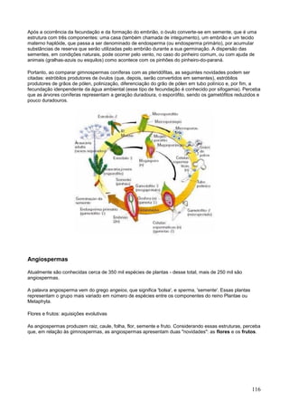 116 
Após a ocorrência da fecundação e da formação do embrião, o óvulo converte-se em semente, que é uma estrutura com três componentes: uma casa (também chamada de integumento), um embrião e um tecido materno haplóide, que passa a ser denominado de endosperma (ou endosperma primário), por acumular substâncias de reserva que serão utilizadas pelo embrião durante a sua germinação. A dispersão das sementes, em condições naturais, pode ocorrer pelo vento, no caso do pinheiro comum, ou com ajuda de animais (gralhas-azuis ou esquilos) como acontece com os pinhões do pinheiro-do-paraná. 
Portanto, ao comparar gimnospermas coníferas com as pteridófitas, as seguintes novidades podem ser citadas: estróbilos produtores de óvulos (que, depois, serão convertidos em sementes), estróbilos produtores de grãos de pólen, polinização, diferenciação do grão de pólen em tubo polínico e, por fim, a fecundação idenpendente da água ambiental (esse tipo de fecundação é conhecido por sifogamia). Perceba que as árvores coníferas representam a geração duradoura, o esporófito, sendo os gametófitos reduzidos e pouco duradouros. 
Angiospermas 
Atualmente são conhecidas cerca de 350 mil espécies de plantas - desse total, mais de 250 mil são angiospermas. 
A palavra angiosperma vem do grego angeios, que significa 'bolsa', e sperma, 'semente'. Essas plantas representam o grupo mais variado em número de espécies entre os componentes do reino Plantae ou Metaphyta. 
Flores e frutos: aquisições evolutivas 
As angiospermas produzem raiz, caule, folha, flor, semente e fruto. Considerando essas estruturas, perceba que, em relação às gimnospermas, as angiospermas apresentam duas "novidades": as flores e os frutos.  