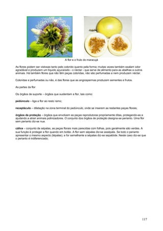 117 
A flor e o fruto do maracujá 
As flores podem ser vistosas tanto pelo colorido quanto pela forma; muitas vezes também exalam odor agradável e produzem um líquido açucarado - o néctar - que serve de alimento para as abelhas e outros animais. Há também flores que não têm peças coloridas, não são perfumadas e nem produzem néctar. 
Coloridas e perfumadas ou não, é das flores que as angiospermas produzem sementes e frutos. 
As partes da flor 
Os órgãos de suporte – órgãos que sustentam a flor, tais como: 
pedúnculo – liga a flor ao resto ramo; 
receptáculo – dilatação na zona terminal do pedúnculo, onde se inserem as restantes peças florais; 
órgãos de proteção – órgãos que envolvem as peças reprodutoras propriamente ditas, protegendo-as e ajudando a atrair animais polinizadores. O conjunto dos órgãos de proteção designa-se perianto. Uma flor sem perianto diz-se nua. 
cálice – conjunto de sépalas, as peças florais mais parecidas com folhas, pois geralmente são verdes. A sua função é proteger a flor quando em botão. A flor sem sépalas diz-se assépala. Se todo o perianto apresentar o mesmo aspecto (tépalas), e for semelhante a sépalas diz-se sepalóide. Neste caso diz-se que o perianto é indiferenciado;  