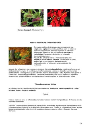 134 
Dionaea Muscipula- Planta carnívora 
Plantas descíduas e abscisão foliar 
Em muitas espécies de angiospermas, principalmente nas adaptadas a regiões temperadas, as folhas caem no outono e renascem na primavera. Plantas que perdem as folhas em determinada estação do ano são chamadas decíduas ou caducifólias. Plantas que não perdem as folhas são chamadas de perenes. A queda das folhas no outono é interpretada como uma adaptação ao frio intenso e à neve. Em vez de ter as folhas lesadas pelo frio do inverno, a planta as derruba “deliberadamente” no outono, em um processo por ela controlado. 
A queda das folhas ocorre por meio de um processo chamado abscisão foliar. Inicialmente forma-se um tecido cicatricial na região do pecíolo que une a folha ao caule, o tecido de abscisão, que interrompe gradativamente a passagem de água e nutrientes minerais do caule para a folha. A planta, assim, perde as folhas com o mínimo de prejuízo e reduz a atividade metabólica durante todo o inverno. Na primavera, surgem novos primórdios foliares junto às gemas dormentes, que logo se desenvolvem em folhas. 
Classificação das folhas 
As folhas podem ser classificadas de diversas maneiras: de acordo com a sua disposição no caule, a forma do limbo, a forma da borda etc. 
Filotaxia 
Filotaxia é o modo como as folhas estão arranjadas no caule. Existem três tipos básicos de filotaxia: oposta, verticilada e alternada. 
A filotaxia é oposta quando existem duas folhas por nó, inseridas em regiões opostas. Quando três ou mais folhas inserem-se no mesmo nó, a filotaxia é chamada verticilada. Quando as folhas se inserem em regiões ligeiramente deslocadas entre si, em nós sucessivos, descrevendo uma hélice, a filotaxia é chamada alternada. 
 