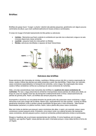 109 
Briófitas: 
Briófitas (do gergo bryon: 'musgo'; e phyton: 'planta') são plantas pequenas, geralmente com alguns poucos centímetros de altura, que vivem preferencialmente em locais úmidos e sombreados. 
O corpo do musgo é formado basicamente de três partes ou estruturas: 
 rizóides - filamentos que fixam a planta no ambiente em que ela vive e absorvem a água e os sais minerais disponíveis nesse ambiente; 
 caulóide - pequena haste de onde partem os filóides; 
 filóides -estruturas clorofiladas e capazes de fazer fotossíntese. 
Estrutura das briófitas 
Essas estruturas são chamadas de rizóides, caulóides e filóides porque não têm a mesma organização de raízes, caules e folhas das plantas que estão presentes a partir das pteridófitas. Faltam-lhes, por exemplo, vasos condutores especializados no transporte de nutrientes, como a água. Na organização das raízes, caules e folhas verdadeiras verifica-se a presença de vasos condutores de nutrientes. 
Aliás, uma das características mais marcantes das briófitas é a ausência de vasos condutores de nutrientes. Por isso, a água absorvida do ambiente é transportada nessas plantas de célula para célula, ao longo do corpo do vegetal. Esse tipo de transporte é relativamente lento e limita o desenvolvimento de plantas de grande porte. Assim, as briófitas são sempre pequenas, baixas. 
Acompanhe o raciocínio: se uma planta terrestre de grande porte não possuísse vasos condutores, a água demoraria muito para chegar até as folhas. Nesse caso, especialmente nos dias quentes - quando as folhas geralmente transpiram muito e perdem grande quantidade de água para o meio ambiente -, elas ficariam desidratadas (secariam) e a planta morreria. Assim, toda a planta alta possui vasos condutores. 
Mas nem todas as plantas que possuem vasos condutores são altas; o capim, por exemplo, possui vasos condutores e possui pequeno porte. Entretanto, uma coisa é certa: se a planta terrestre não apresenta vasos condutores, ela terá pequeno porte e viverá em ambientes preferencialmente úmidos e sombreados. 
Musgos e hepáticas são os principais representantes das briófitas. O nome hepáticas vem do grego hepathos, que significa 'fígado'; essas plantas são assim chamadas porque o corpo delas lembra a forma de um fígado.  
