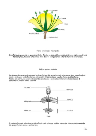136 
Flores completas e incompletas 
Uma flor que apresenta os quatro verticilos florais, ou seja, cálice, corola, androceu e gineceu, é uma flor completa. Quando falta um ou mias desses componentes a flor é chamada incompleta. 
Cálice, corola e perianto 
As sépalas são geralmente verdes e lembram folhas. São as partes mais externas da flor e a sua função é cobrir e proteger o botão floral antes dele se abrir. O conjunto de sépalas forma o cálice floral. Pétalas são estruturas geralmente coloridas e delicadas e se localizam internamente às sépalas. O conjunto de pétalas forma a corola. 
O conjunto formado pelos dois verticilos florais mais externos, o cálice e a corola, é denominado perianto (do grego Peri, em torno, e anthos, flor).  
