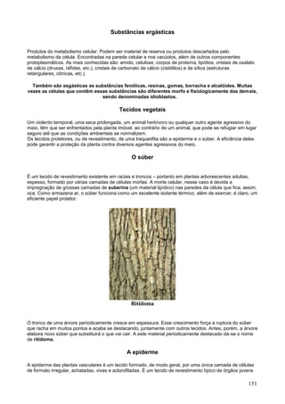 151 
Substâncias ergásticas 
Produtos do metabolismo celular. Podem ser material de reserva ou produtos descartados pelo metabolismo da célula. Encontradas na parede celular e nos vacúolos, além de outros componentes protoplasmáticos. As mais conhecidas são: amido, celulose, corpos de proteína, lipídios, cristais de oxalato de cálcio (drusas, ráfides, etc.), cristais de carbonato de cálcio (cistólitos) e de sílica (estruturas retangulares, cônicas, etc.). 
Também são esgásticas as substâncias fenólicas, resinas, gomas, borracha e alcalóides. Muitas vezes as células que contêm essas substâncias são diferentes morfo e fisiologicamente das demais, sendo denominadas idioblastos. 
Tecidos vegetais 
Um violento temporal, uma seca prolongada, um animal herbívoro ou qualquer outro agente agressivo do meio, têm que ser enfrentados pela planta imóvel, ao contrário de um animal, que pode se refugiar em lugar seguro até que as condições ambientais se normalizem. Os tecidos protetores, ou de revestimento, de uma traqueófita são a epiderme e o súber. A eficiência deles pode garantir a proteção da planta contra diversos agentes agressivos do meio. 
O súber 
É um tecido de revestimento existente em raízes e troncos – portanto em plantas arborescentes adultas, espesso, formado por várias camadas de células mortas. A morte celular, nesse caso é devida a impregnação de grossas camadas de suberina (um material lipídico) nas paredes da célula que fica, assim, oca. Como armazena ar, o súber funciona como um excelente isolante térmico, além de exercer, é claro, um eficiente papel protetor. 
Ritidoma 
O tronco de uma árvore periodicamente cresce em espessura. Esse crescimento força a ruptura do súber que racha em muitos pontos e acaba se destacando, juntamente com outros tecidos. Antes, porém, a árvore elabora novo súber que substituirá o que vai cair. A este material periodicamente destacado dá-se o nome de ritidoma. 
A epiderme 
A epiderme das plantas vasculares é um tecido formado, de modo geral, por uma única camada de células de formato irregular, achatadas, vivas e aclorofiladas. É um tecido de revestimento típico de órgãos jovens  