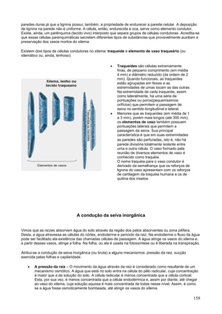 158 
paredes duras já que a lignina possui, também, a propriedade de endurecer a parede celular. A deposição de lignina na parede não é uniforme. A célula, então, endurecida e oca, serve como elemento condutor. Existe, ainda, um parênquima (tecido vivo) interposto que separa grupos de células condutoras. Acredita-se que essas células parenquimáticas secretem diferentes tipos de substâncias que provavelmente auxiliam a preservação dos vasos mortos do xilema. 
Existem dois tipos de células condutoras no xilema: traqueíde e elemento de vaso traqueário (ou xilemático ou, ainda, lenhoso). 
 Traqueídes são células extremamente finas, de pequeno comprimento (em média 4 mm) e diâmetro reduzido (da ordem de 2 mm). Quando funcionais, as traqueídes estão agrupadas em feixes e as extremidades de umas tocam as das outras. Na extremidade de cada traqueíde, assim como lateralmente, há uma série de pontuações ou poros(pequeníssimos orifícios) que permitem a passagem de seiva no sentido longitudinal e lateral. 
 Menores que as traqueídes (em média de 1 a 3 mm), porém mais longos (até 300 mm), os elementos de vaso também possuem pontuações laterais que permitem a passagem da seiva. Sua principal característica é que em suas extremidades as paredes são perfuradas, isto é, não há parede divisória totalmente isolante entre uma e outra célula. O vaso formado pela reunião de diversos elementos de vaso é conhecido como traquéia. O nome traquéia para o vaso condutor é derivado da semelhança que os reforços de lignina do vaso apresentam com os reforços de cartilagem da traquéia humana e os de quitina dos insetos. 
A condução da seiva inorgânica 
Vimos que as raízes absorvem água do solo através da região dos pelos absorventes ou zona pilífera. Desta, a água atravessa as células do córtex, endoderme e periciclo da raiz. Na endoderme o fluxo da água pode ser facilitado ela existência das chamadas células de passagem. A água atinge os vasos do xilema e, a partir desses vasos, atinge a folha. Na folha, ou ela é usada na fotossíntese ou é liberada na transpiração. 
Atribui-se a condução da seiva inorgânica (ou bruta) a alguns mecanismos: pressão da raiz, sucção exercida pelas folhas e capilaridade. 
 A pressão da raiz – O movimento da água através da raiz é considerado como resultante de um mecanismo osmótico. A água que está no solo entra na célula do pêlo radicular, cuja concentração é maior que a da solução do solo. A célula radicular é menos concentrada que a célula cortical. Esta, por sua vez, é menos concentrada que a célula endodérmica e, assim por diante, até chegar ao vaso do xilema, cuja solução aquosa é mais concentrada de todas nesse nível. Assim, é como se a água fosse osmoticamente bombeada, até atingir os vasos do xilema.  