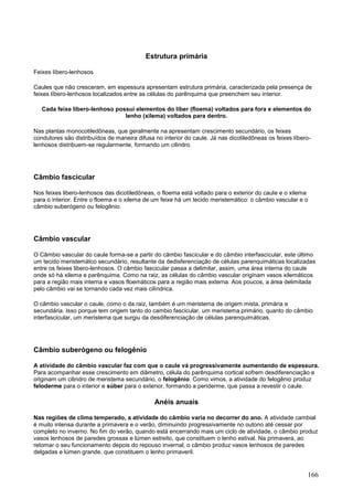 166 
Estrutura primária 
Feixes líbero-lenhosos 
Caules que não cresceram, em espessura apresentam estrutura primária, caracterizada pela presença de feixes líbero-lenhosos localizados entre as células do parênquima que preenchem seu interior. 
Cada feixe libero-lenhoso possui elementos do líber (floema) voltados para fora e elementos do lenho (xilema) voltados para dentro. 
Nas plantas monocotiledôneas, que geralmente na apresentam crescimento secundário, os feixes condutores são distribuídos de maneira difusa no interior do caule. Já nas dicotiledôneas os feixes líbero- lenhosos distribuem-se regularmente, formando um cilindro. 
Câmbio fascicular 
Nos feixes libero-lenhosos das dicotiledôneas, o floema está voltado para o exterior do caule e o xilema para o interior. Entre o floema e o xilema de um feixe há um tecido meristemático: o câmbio vascular e o câmbio suberógeno ou felogênio. 
Câmbio vascular 
O Câmbio vascular do caule forma-se a partir do câmbio fascicular e do câmbio interfascicular, este último um tecido meristemátco secundário, resultante da dedisferenciação de células parenquimáticas localizadas entre os feixes libero-lenhosos. O câmbio fascicular passa a delimitar, assim, uma área interna do caule onde só há xilema e parênquima. Como na raiz, as células do câmbio vascular originam vasos xilemáticos para a região mais interna e vasos floemáticos para a região mais externa. Aos poucos, a área delimitada pelo câmbio vai se tornando cada vez mais cilíndrica. 
O câmbio vascular o caule, como o da raiz, também é um meristema de origem mista, primária e secundária. Isso porque tem origem tanto do cambio fascicular, um meristema primário, quanto do câmbio interfascicular, um meristema que surgiu da desdiferenciação de células parenquimáticas. 
Câmbio suberógeno ou felogênio 
A atividade do câmbio vascular faz com que o caule vá progressivamente aumentando de espessura. Para acompanhar esse crescimento em diâmetro, célula do parênquima cortical sofrem desdiferenciação e originam um cilindro de meristema secundário, o felogênio. Como vimos, a atividade do felogênio produz feloderme para o interior e súber para o exterior, formando a periderme, que passa a revestir o caule. 
Anéis anuais 
Nas regiões de clima temperado, a atividade do câmbio varia no decorrer do ano. A atividade cambial é muito intensa durante a primavera e o verão, diminuindo progressivamente no outono até cessar por completo no inverno. No fim do verão, quando está encerrando mais um ciclo de atividade, o câmbio produz vasos lenhosos de paredes grossas e lúmen estreito, que constituem o lenho estival. Na primavera, ao retomar o seu funcionamento depois do repouso invernal, o câmbio produz vasos lenhosos de paredes delgadas e lúmen grande, que constituem o lenho primaveril.  