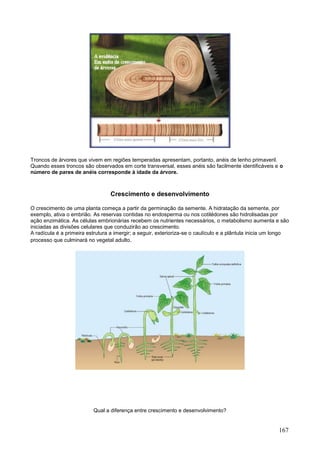 167 
Troncos de árvores que vivem em regiões temperadas apresentam, portanto, anéis de lenho primaveril. Quando esses troncos são observados em corte transversal, esses anéis são facilmente identificáveis e o número de pares de anéis corresponde à idade da árvore. 
Crescimento e desenvolvimento 
O crescimento de uma planta começa a partir da germinação da semente. A hidratação da semente, por exemplo, ativa o embrião. As reservas contidas no endosperma ou nos cotilédones são hidrolisadas por ação enzimática. As células embrionárias recebem os nutrientes necessários, o metabolismo aumenta e são iniciadas as divisões celulares que conduzirão ao crescimento. A radícula é a primeira estrutura a imergir; a seguir, exterioriza-se o caulículo e a plântula inicia um longo processo que culminará no vegetal adulto. 
Qual a diferença entre crescimento e desenvolvimento?  