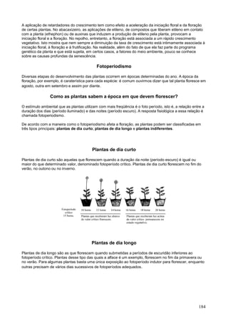 184 
A aplicação de retardadores do crescimento tem como efeito a aceleração da iniciação floral e da floração de certas plantas. No abacaxizeiro, as aplicações de etileno, de compostos que liberam etileno em contato com a planta (ethephon) ou de auxinas que induzem a produção de etileno pela planta, provocam a iniciação floral e a floração. No repolho, entretanto, a floração está associada a um rápido crescimento vegetativo. Isto mostra que nem sempre a diminuição da taxa de crescimento está intimamente associada à iniciação floral, à floração e à frutificação. Na realidade, além do fato de que ela faz parte do programa genético da planta e que está sujeita, em certos casos, a fatores do meio ambiente, pouco se conhece sobre as causas profundas da senescência. 
Fotoperiodismo 
Diversas etapas do desenvolvimento das plantas ocorrem em épocas determinadas do ano. A época da floração, por exemplo, é caraterística para cada espécie: é comum ouvirmos dizer que tal planta floresce em agosto, outra em setembro e assim por diante. 
Como as plantas sabem a época em que devem florescer? 
O estímulo ambiental que as plantas utilizam com mais freqüência é o foto período, isto é, a relação entre a duração dos dias (período iluminado) e das noites (período escuro). A resposta fisiológica a essa relação é chamada fotoperiodismo. De acordo com a maneira como o fotoperiodismo afeta a floração, as plantas podem ser classificadas em três tipos principais: plantas de dia curto, plantas de dia longo e plantas indiferentes. 
Plantas de dia curto 
Plantas de dia curto são aquelas que florescem quando a duração da noite (período escuro) é igual ou maior do que determinado valor, denominado fotoperíodo crítico. Plantas de dia curto florescem no fim do verão, no outono ou no inverno. 
Plantas de dia longo 
Plantas de dia longo são as que florescem quando submetidas a períodos de escuridão inferiores ao fotoperíodo crítico. Plantas desse tipo das quais a alface é um exemplo, florescem no fim da primavera ou no verão. Para algumas plantas basta uma única exposição ao fotoperíodo indutor para florescer, enquanto outras precisam de vários dias sucessivos de fotoperíodos adequados. 
 