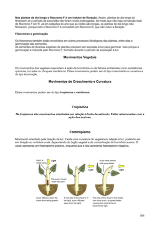 186 
Nas plantas de dia longo o fitocromo F é um indutor de floração. Assim, plantas de dia longo só florescem se o período de escuridão não forem muito prolongados, de modo que não haja conversão total de fitocromo F em R. Já em estações do ano que as noites são longas, as plantas de dia longo não florescem, porque todo o fitocromo F é convertido em fitocromo R, que não induz a floração. 
Fitocromos e germinação 
Os fitocromos também estão envolvidos em outros processos fisiológicos das plantas, entre elas a germinação das sementes. As sementes de diversas espécies de plantas precisam ser expostas à luz para germinar. Isso porque a germinação é induzida pelo fitocromo F, formado durante o período de exposição à luz. 
Movimentos Vegetais 
Os movimentos dos vegetais respondem à ação de hormônios ou de fatores ambientais como substâncias químicas, luz solar ou choques mecânicos. Estes movimentos podem ser do tipo crescimento e curvatura e do tipo locomoção. 
Movimentos de Crescimento e Curvatura 
Estes movimentos podem ser do tipo tropismos e nastismos. 
Tropismos 
Os tropismos são movimentos orientados em relação à fonte de estímulo. Estão relacionados com a ação das auxinas. 
Fototropismo 
Movimento orientado pela direção da luz. Existe uma curvatura do vegetal em relação à luz, podendo ser em direção ou contrária a ela, dependendo do órgão vegetal e da concentração do hormônio auxina. O caule apresenta um fototropismo positivo, enquanto que a raiz apresenta fototropismo negativo. 
 