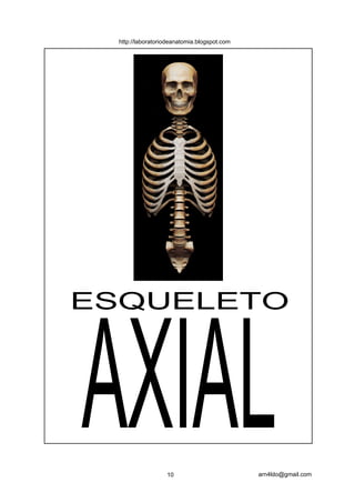 ESQUELETO
AXIAL10 arn4ldo@gmail.com
http://laboratoriodeanatomia.blogspot.com
 