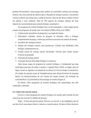 8
produtos fitossanitários, várias pragas-chave podem ser controladas somente com inimigos
naturais, não existe período de carência após a liberação de inimigos naturais e isto permite
continua colheita sem perigo para a saúde do homem, além de não deixar resíduos tóxicos
nas plantas e meio ambiente. Mais de 100 espécies de inimigos naturais são hoje
disponíveis comercialmente para controle biológico aumentativo.
Um programa de controle biológico deve ser bem planejado, e várias etapas devem
compor este programa, de acordo com van Lenteren (2000) e Parra et.al. (2002):
1. Conhecimento taxonômico da praga-alvo, sua região de origem.
2. Informações coletadas, através de pesquisa na literatura, sobre a biologia,
comportamento da praga, e outras que auxiliem no processo de controle da mesma.
3. Inventário dos inimigos naturais.
4. Seleção dos inimigos naturais mais promissores. Estudos mais detalhados sobre
biologia, comportamento etc.
5. Criação massal do inimigo natural selecionado. Técnicas para criação massal.
Controle de qualidade
6. Liberação do inimigo natural
7. Avaliação final da efetividade biológica e econômica
Além dessas etapas do programa de controle biológico, é fundamental que haja
certa lógica para que ele atinja o usuário, e segundo Parra (1993), as etapas, para tal
lógica, seriam as seguintes: (a) seleção da (s) cultura (s) e do (s) inimigo (s) natural (is);
(b) criação de pequeno porte do hospedeiro/presa para desenvolvimento de pesquisa
básica; (c) desenvolvimento de um sistema de criação massal; (d) avaliação do
custo/benefício e (e) transferência da tecnologia ao usuário (Figura 2).
No Brasil, vários programas de controle biológico com entomófagos têm sido
conduzidos e aplicados.
5.1. Cultura da Cana-de-Açúcar
Envolve o maior programa de controle biológico do mundo, pela extensão da área
canavieira, são cerca de 2,5 milhões de hectares.
Praga - A broca-da-cana de açúcar, Diatraea saccharalis, é um lepidóptero, que na
sua fase larval causa danos diretos e indiretos a cana-de-açúcar. Os danos diretos decorrem
 