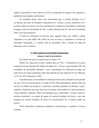 11
quando o parasitismo é baixo (menos de 20%) e a população de lagartas, alta, segundo os
parâmetros mencionados anteriormente.
Os resultados desses vários anos demonstram que o controle biológico de D.
saccharalis, por meio de liberações sistemáticas de C. flavipes, ou seja, inundativas, foi e
continua sendo um sucesso com real contribuição na redução da intensidade de infestação
da praga, a qual era inicialmente de 10%, e sendo reduzido para 2%, um nível considerado
ótimo, sem causar prejuízos.
O índice de infestação da broca-da cana, segundo Gallo et.al. (2002) é obtido
coletando-se em cada talhão 100 colmos de cana, ao acaso, e contando-se o número de
internódios broqueados, e o número total de internódios. Para o calculo do índice de
infestação, usa-se a fórmula:
I = 100 x (número de internódios borqueados)
(número total de internódios)
Esse índice tem que ser sempre menor ou igual a 3%.
Relatos da Copersucar revelam, também que em 1991, 17 laboratórios de usinas
cooperadas haviam liberado 943 milhões de adultos de C. flavipes, representando 76,8% do
contingente de parasitóides liberados, e que a porcentagem de infestação da praga, em
canaviais de 26 usinas cooperadas, tinha sido reduzida de uma média de 9% em 1980 para
3,17% em 1991 (Copersucar, 1992).
Essa diminuição na intensidade de infestação da broca foi verificada em um período
em que a área de cana-de-açúcar no estado de São Paulo praticamente dobrou (hoje são
mais de 2,5 milhões de hectares) e o perfil das variedades plantadas foi alterado, o qual é
composto, atualmente, por canas mais ricas em açúcar, mais produtivas e mais susceptíveis
a broca (Botelho e Macedo, 2002). Isto demonstra que o parasitóide C. flavipes exerceu e
continua exercendo o seu papel de agente de controle biológico da broca, e que esse
programa de controle biológico da broca em cana-de-açúcar foi e continua sendo um
sucesso.
Vários laboratórios, atualmente, produzem e comercializam a vespinha C. flavipes
no Brasil.
 