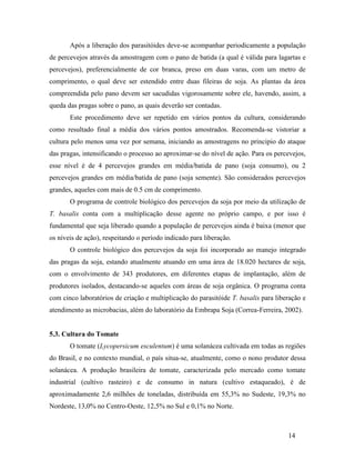 14
Após a liberação dos parasitóides deve-se acompanhar periodicamente a população
de percevejos através da amostragem com o pano de batida (a qual é válida para lagartas e
percevejos), preferencialmente de cor branca, preso em duas varas, com um metro de
comprimento, o qual deve ser estendido entre duas fileiras de soja. As plantas da área
compreendida pelo pano devem ser sacudidas vigorosamente sobre ele, havendo, assim, a
queda das pragas sobre o pano, as quais deverão ser contadas.
Este procedimento deve ser repetido em vários pontos da cultura, considerando
como resultado final a média dos vários pontos amostrados. Recomenda-se vistoriar a
cultura pelo menos uma vez por semana, iniciando as amostragens no principio do ataque
das pragas, intensificando o processo ao aproximar-se do nível de ação. Para os percevejos,
esse nível é de 4 percevejos grandes em média/batida de pano (soja consumo), ou 2
percevejos grandes em média/batida de pano (soja semente). São considerados percevejos
grandes, aqueles com mais de 0.5 cm de comprimento.
O programa de controle biológico dos percevejos da soja por meio da utilização de
T. basalis conta com a multiplicação desse agente no próprio campo, e por isso é
fundamental que seja liberado quando a população de percevejos ainda é baixa (menor que
os níveis de ação), respeitando o período indicado para liberação.
O controle biológico dos percevejos da soja foi incorporado ao manejo integrado
das pragas da soja, estando atualmente atuando em uma área de 18.020 hectares de soja,
com o envolvimento de 343 produtores, em diferentes etapas de implantação, além de
produtores isolados, destacando-se aqueles com áreas de soja orgânica. O programa conta
com cinco laboratórios de criação e multiplicação do parasitóide T. basalis para liberação e
atendimento as microbacias, além do laboratório da Embrapa Soja (Correa-Ferreira, 2002).
5.3. Cultura do Tomate
O tomate (Lycopersicum esculentum) é uma solanácea cultivada em todas as regiões
do Brasil, e no contexto mundial, o país situa-se, atualmente, como o nono produtor dessa
solanácea. A produção brasileira de tomate, caracterizada pelo mercado como tomate
industrial (cultivo rasteiro) e de consumo in natura (cultivo estaqueado), é de
aproximadamente 2,6 milhões de toneladas, distribuída em 55,3% no Sudeste, 19,3% no
Nordeste, 13,0% no Centro-Oeste, 12,5% no Sul e 0,1% no Norte.
 