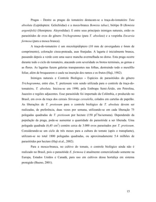 15
Pragas - Dentre as pragas do tomateiro destacam-se a traça-do-tomateiro Tuta
absoluta (Lepidoptera: Gelechiidae) e a moca-branca Bemisia tabaci, biótipo B (Bemisia
argentifolii) (Hemiptera: Aleyrodidae). E entre seus principais inimigos naturais, estão os
parasitóides de ovos do gênero Trichogramma (para T. absoluta) e a vespinha Encarsia
formosa (para a mosca branca).
A traça-do-tomateiro é um microlepidóptero (10 mm de envergadura e 6mm de
comprimento), coloração cinza-prateada, asas franjadas. A lagarta é inicialmente branca,
passando depois a verde com uma suave mancha avermelhada no dorso. Esta praga ocorre
durante todo o ciclo do tomateiro, atacando com severidade os brotos terminais, as gemas e
as flores. As lagartas fazem galerias transparentes nas folhas, destruindo todo o mesófilo
foliar, além de broquearem o caule na inserção dos ramos e os frutos (Haji, 1982).
Inimigos naturais e Controle Biológico - Espécies de parasitóides do gênero
Trichogramma, entre elas, T. pretiosum vem sendo utilizada para o controle da traça-do-
tomateiro, T. absoluta. Iniciou-se em 1990, pela Embrapa Semi-Árido, em Petrolina,
Juazeiro e regiões adjacentes. Esse parasitóide foi importado da Colômbia, e produzido no
Brasil, em ovos da traça dos cereais Sitrotoga cerealella, colados em cartelas de papelão.
As liberações de T. pretiosum para o controle biológico de T. absoluta devem ser
realizadas, de preferência, duas vezes por semana, utilizando-se em cada liberação 75
polegadas quadradas de T. pretiosum por hectare (150 pl2
/ha/semana). Dependendo da
população da praga, pode-se aumentar a quantidade do parasitóide a ser liberada. Uma
polegada quadrada (6,45 cm2
) contém cerca de 3.000 ovos parasitados por T. pretiosum.
Considerando-se um ciclo de três meses para a cultura do tomate (após o transplante),
utilizam-se no total 1800 polegadas quadradas, ou aproximadamente 5.4 milhões de
parasitóides por hectare (Haji et.al., 2002).
Para a mosca-branca, no cultivo do tomate, o controle biológico ainda não é
realizado no Brasil, pois o parasitóide E. formosa é atualmente comercializado somente na
Europa, Estados Unidos e Canadá, para uso em cultivos dessa hortaliça em sistema
protegido (Bueno, 2001).
 