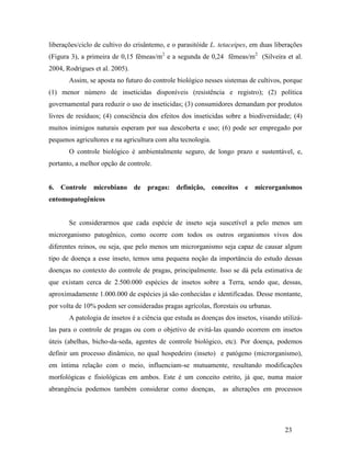 23
liberações/ciclo de cultivo do crisântemo, e o parasitóide L. tetaceipes, em duas liberações
(Figura 3), a primeira de 0,15 fêmeas/m2
e a segunda de 0,24 fêmeas/m2
(Silveira et al.
2004, Rodrigues et al. 2005).
Assim, se aposta no futuro do controle biológico nesses sistemas de cultivos, porque
(1) menor número de inseticidas disponíveis (resistência e registro); (2) política
governamental para reduzir o uso de inseticidas; (3) consumidores demandam por produtos
livres de resíduos; (4) consciência dos efeitos dos inseticidas sobre a biodiversidade; (4)
muitos inimigos naturais esperam por sua descoberta e uso; (6) pode ser empregado por
pequenos agricultores e na agricultura com alta tecnologia.
O controle biológico é ambientalmente seguro, de longo prazo e sustentável, e,
portanto, a melhor opção de controle.
6. Controle microbiano de pragas: definição, conceitos e microrganismos
entomopatogênicos
Se considerarmos que cada espécie de inseto seja suscetível a pelo menos um
microrganismo patogênico, como ocorre com todos os outros organismos vivos dos
diferentes reinos, ou seja, que pelo menos um microrganismo seja capaz de causar algum
tipo de doença a esse inseto, temos uma pequena noção da importância do estudo dessas
doenças no contexto do controle de pragas, principalmente. Isso se dá pela estimativa de
que existam cerca de 2.500.000 espécies de insetos sobre a Terra, sendo que, dessas,
aproximadamente 1.000.000 de espécies já são conhecidas e identificadas. Desse montante,
por volta de 10% podem ser consideradas pragas agrícolas, florestais ou urbanas.
A patologia de insetos é a ciência que estuda as doenças dos insetos, visando utilizá-
las para o controle de pragas ou com o objetivo de evitá-las quando ocorrem em insetos
úteis (abelhas, bicho-da-seda, agentes de controle biológico, etc). Por doença, podemos
definir um processo dinâmico, no qual hospedeiro (inseto) e patógeno (microrganismo),
em íntima relação com o meio, influenciam-se mutuamente, resultando modificações
morfológicas e fisiológicas em ambos. Este é um conceito estrito, já que, numa maior
abrangência podemos também considerar como doenças, as alterações em processos
 