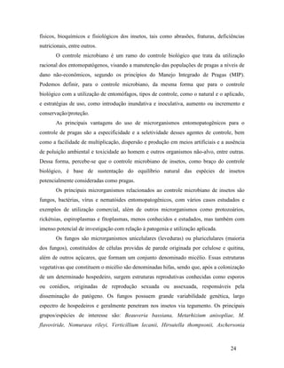 24
físicos, bioquímicos e fisiológicos dos insetos, tais como abrasões, fraturas, deficiências
nutricionais, entre outros.
O controle microbiano é um ramo do controle biológico que trata da utilização
racional dos entomopatógenos, visando a manutenção das populações de pragas a níveis de
dano não-econômicos, segundo os princípios do Manejo Integrado de Pragas (MIP).
Podemos definir, para o controle microbiano, da mesma forma que para o controle
biológico com a utilização de entomófagos, tipos de controle, como o natural e o aplicado,
e estratégias de uso, como introdução inundativa e inoculativa, aumento ou incremento e
conservação/proteção.
As principais vantagens do uso de microrganismos entomopatogênicos para o
controle de pragas são a especificidade e a seletividade desses agentes de controle, bem
como a facilidade de multiplicação, dispersão e produção em meios artificiais e a ausência
de poluição ambiental e toxicidade ao homem e outros organismos não-alvo, entre outras.
Dessa forma, percebe-se que o controle microbiano de insetos, como braço do controle
biológico, é base de sustentação do equilíbrio natural das espécies de insetos
potencialmente consideradas como pragas.
Os principais microrganismos relacionados ao controle microbiano de insetos são
fungos, bactérias, vírus e nematóides entomopatogênicos, com vários casos estudados e
exemplos de utilização comercial, além de outros microrganismos como protozoários,
rickétsias, espiroplasmas e fitoplasmas, menos conhecidos e estudados, mas também com
imenso potencial de investigação com relação à patogenia e utilização aplicada.
Os fungos são microrganismos unicelulares (leveduras) ou pluricelulares (maioria
dos fungos), constituídos de células providas de parede originada por celulose e quitina,
além de outros açúcares, que formam um conjunto denominado micélio. Essas estruturas
vegetativas que constituem o micélio são denominadas hifas, sendo que, após a colonização
de um determinado hospedeiro, surgem estruturas reprodutivas conhecidas como esporos
ou conídios, originadas de reprodução sexuada ou assexuada, responsáveis pela
disseminação do patógeno. Os fungos possuem grande variabilidade genética, largo
espectro de hospedeiros e geralmente penetram nos insetos via tegumento. Os principais
grupos/espécies de interesse são: Beauveria bassiana, Metarhizium anisopliae, M.
flavoviride, Nomuraea rileyi, Verticillium lecanii, Hirsutella thompsonii, Aschersonia
 