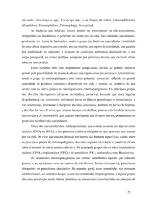 25
aleyrodis, Paecilomyces spp., Cordyceps spp., e os fungos da ordem Entomophthorales
(Zoophthora, Entomophthora, Entomophaga, Neozygites).
As bactérias que infectam insetos podem ser esporulantes ou não-esporulantes,
obrigatórias ou facultativas, e penetram no inseto por via oral. São estruturas unicelulares,
geralmente em forma de bastonetes, sendo o grupo das bactérias esporulantes constituído
de uma célula vegetativa que contém, em seu interior, um esporo de resistência, que garante
boa estabilidade no ambiente, a despeito de condições ambientais desfavoráveis, e um
corpo parasporal, ou cristal protéico, composto por proteínas tóxicas que exercem efeito
sobre os insetos-alvo.
Essas bactérias têm sido amplamente pesquisadas, devido ao grande interesse
gerado pela possibilidade de produção desses microrganismos por processos fermentativos,
sendo o grupo de entomopatógenos com maior potencial comercial, refletido na grande
quantidade de produtos comerciais disponíveis em todo o mundo, ao contrário do que
ocorre com os outros grupos de microrganismos entomopatogênicos. Os principais grupos
são: Bacillus thuringiensis (diversas variedades), como var. kurstaki, que ataca lagartas
(Lepidoptera), var. israelensis, infectando larvas de Diptera (pernilongos e borrachudos) e
var. tenebrionis, infectando Coleoptera; Bacillus sphaericus, também em larvas de Diptera,
e Bacillus larvae e B. alvei, que causam doenças em abelhas; pode-se citar também Serratia
marcescens e S. entomophila, que causam septicemias em diversos insetos, pertencentes ao
grupo das bactérias não-esporulantes.
Vírus são macromoléculas (nucleoproteínas), que contém somente um tipo de ácido
nucleico (DNA ou RNA), e são parasitos celulares obrigatórios que penetram nos insetos
por via oral. Os vírus que causam doenças em insetos são bastante específicos, sendo, entre
os principais grupos de entomopatógenos, dos mais seguros em relação a possíveis efeitos
sobre o homem ou outros animais não-alvo. Os principais grupos são os vírus de poliedrose
nuclear (VPN), citoplasmática (VPC) e de grandulose (VG), conhecidos como Baculovirus.
Os nematóides entomopatogênicos são vermes semelhantes àqueles que infectam
plantas, e se relacionam com os insetos de três formas: forésia (transporte), parasitismo
obrigatório ou parasitismo facultativo. De maneira geral, esses nematóides não possuem
estiletes bucais, ao contrário do que ocorre nos nematóides fitopatogênicos, e alguns grupos
têm uma associação muito íntima (simbiose ou mutualismo) com bactérias no processo de
 