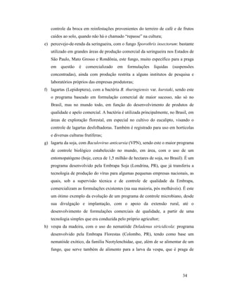 34
controle da broca em reinfestações provenientes do terreiro de café e de frutos
caídos ao solo, quando não há o chamado “repasse” na cultura;
e) percevejo-de-renda da seringueira, com o fungo Sporothrix insectorum: bastante
utilizado em grandes áreas de produção comercial da seringueira nos Estados de
São Paulo, Mato Grosso e Rondônia, este fungo, muito específico para a praga
em questão é comercializado em formulações líquidas (suspensões
concentradas), ainda com produção restrita a alguns institutos de pesquisa e
laboratórios próprios das empresas produtoras;
f) lagartas (Lepidoptera), com a bactéria B. thuringiensis var. kurstaki, sendo este
o programa baseado em formulação comercial de maior sucesso, não só no
Brasil, mas no mundo todo, em função do desenvolvimento de produtos de
qualidade e apelo comercial. A bactéria é utilizada principalmente, no Brasil, em
áreas de exploração florestal, em especial no cultivo do eucalipto, visando o
controle de lagartas desfolhadoras. Também é registrado para uso em hortícolas
e diversas culturas frutíferas;
g) lagarta da soja, com Baculovirus anticarsia (VPN), sendo este o maior programa
de controle biológico estabelecido no mundo, em área, com o uso de um
entomopatógeno (hoje, cerca de 1,5 milhão de hectares de soja, no Brasil). É um
programa desenvolvido pela Embrapa Soja (Londrina, PR), que já transferiu a
tecnologia de produção do vírus para algumas pequenas empresas nacionais, as
quais, sob a supervisão técnica e de controle de qualidade da Embrapa,
comercializam as formulações existentes (na sua maioria, pós molháveis). É este
um ótimo exemplo da evolução de um programa de controle microbiano, desde
sua divulgação e implantação, com o apoio da extensão rural, até o
desenvolvimento de formulações comerciais de qualidade, a partir de uma
tecnologia simples que era conduzida pelo próprio agricultor;
h) vespa da madeira, com o uso do nematóide Deladenus siricidicola: programa
desenvolvido pela Embrapa Florestas (Colombo, PR), tendo como base um
nematóide exótico, da família Neotylenchidae, que, além de se alimentar de um
fungo, que serve também de alimento para a larva da vespa, que é praga de
 