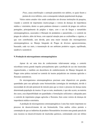 35
Pinus, causa esterilização e castração parasitária nos adultos, os quais fazem a
postura de ovos inférteis, com a consequente redução populacional da praga.
Vários outros estudos vêm sendo conduzidos em diversas instituições de pesquisa,
visando o controle de importantes insetos-pragas e vetores de doenças de importância
médica e veterinária, dentre os quais podemos destacar o controle de pragas em cultivos
protegidos, principalmente de pulgões e tripes, com o uso de fungos e nematóides
entomopatogênicos, associados à liberação de predadores e parasitóides, e o controle de
pragas do cafeeiro, além da broca, com especial atenção para as cochonilhas e cigarras, o
que vem contribuindo, sem dúvida, para uma maior inserção dos microrganismos
entomopatogênicos no Manejo Integrado de Pragas de diversos agroecossistemas,
buscando, cada vez mais, a manutenção de um ambiente produtivo seguro, equilibrado,
saudável e sustentável.
9. Produção de microrganismos entomopatogênicos
Apesar de ser uma área do conhecimento relativamente antiga, o controle
microbiano tomou grande impulso principalmente após a proibição do uso dos inseticidas
organoclorados, e também em decorrência do estabelecimento do Manejo Integrado de
Pragas como prática racional no controle de insetos prejudiciais em sistemas agrícolas e
florestais sustentáveis.
Os microrganismos entomopatogênicos precisam estar disponíveis em grandes
quantidades para sua aplicação como bioinseticidas (estratégias de introdução), devido à
necessidade de elevado potencial de inóculo para que se inicie o processo de doença numa
determinada população de insetos. O que se nota, atualmente, é que não ocorre, na maioria
dos casos, essa disponibilidade em quantidades e formulações suficientes e adequadas para
o controle de importantes pragas agrícolas e florestais, bem como vetores de doenças de
importância médico-veterinária.
A produção de microrganismos entomopatogênicos é uma fase muito importante no
processo de desenvolvimento de um bioinseticida. Uma análise crítica permite a
constatação de que as indústrias de produtos fitossanitários investem uma grande parcela de
seus recursos no desenvolvimento de inseticidas químicos, contrastando com um ínfimo
 