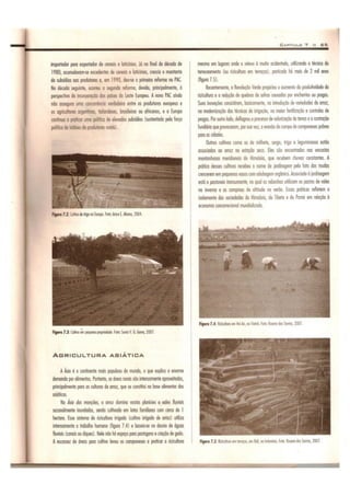 Apostila CEDERJ Geografia Modulo 1