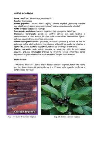 CÁSCARA-SAGRADA

       Nome científico: Rhamnaceae purshiana D.C.
       Família: Rhamnaceae
       Nomes populares: sacred barck (inglês); cáscara sagrada (espanhol); cascara
       sagrada (frances); cascara sagrada (italiano); cascara amerikanische (alemão)
       Parte utilizada: casca seca ou em pó
       Propriedades medicinais: laxante, diurético, tônico purgativa, febrífugo
       Indicações: constipação (prisão de ventre) cônica, com ação laxativa e
       restabelecendo o tônus natural do cólon e não causa hábito, hemorróidas, fígado,
       estimula o peristaltismo intestinal, dispepsias
       Contra-indicações/cuidados: gestantes, nutrizes e pessoas q sofrem de dor de
       estomago, colite, obstrução intestinal, doenças inflamatórias agudas de intestino e
       apendicite, úlcera duodenal ou gástrica, refluxo do estomago, diverticulite
       Efeitos colaterais: pode induzir diarréia; se usada por mais de dois meses
       seguidos, provoca inflamações crônicas no intestino; cólicas intestinais; dores
       espasmódicas gastrintestinais e perda excessiva de água e sais minerais.

       Modo de usar:

       - infusão ou decocção: 1 colher das de sopa de cascara - sagrada, tomar uma xícara
       por dia. Seus efeitos são percebidos de 8 a 12 horas após ingestão, conforme a
       sensibilidade individual




Fig. 12: Cascas de Cascara Sagrada                    Fig. 13: Folhas Cascara Sagrada
 