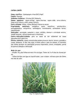 CAPIM-LIMÃO

Nome científico: Cymbopogon citrus (DC) Stapf.
Família: Poaceae
Sinônimos botânicos: Citratus (DC.) Roberty
Nomes populares: capim-catinga, capim-cheiroso, capim-cidão, erva-cidreira,
falsa-erva-cidreira, sidró, grama-cidreira.
Parte utilizada: folhas, rizoma (Raízes) frescas ou secas.
Propriedades      medicinais:    analgésico   suave,    ansiolítico, antidiarréico,
antiespasmódico, antipirético, estomáquico, miorelaxante, estimulante lácteo,
vasodilatador
Indicações: anciedade, aumentar o sono, cefaléia, diminuir a atividade motora,
tensão muscular, cólicas menstruais e intestinais,
Contra-indicações/cuidados: para os casos de dor abdominal de causa
desconhecida e gastritre.
Efeitos colaterais: doses concentradas podem provocar aborto, baixar a pressão e
causar desmaios. O óleo tem ação irritante sobre a pele de animais. O hidrolato
das folhas (produto de destilação) provoca hipocinesia, ataxia, bradipnéia, perda
de postura sedação e defecação

Modo de usar:
- infusão: 10 g das folhas em meio litro de água. Tomar de 3 a 4 dias de xícaras por
dia
 - folhas batidas com água no liquidificador, coar e beber: refresco para dar ânimo
nos dias de calor




                            Fig. 13: Capim Limão
 