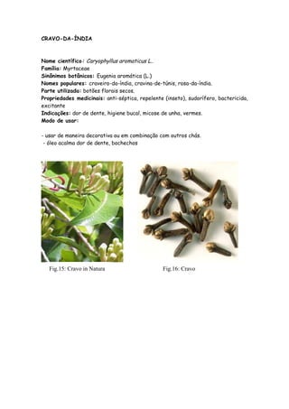 CRAVO-DA-ÍNDIA



Nome científico: Caryophyllus aromaticus L..
Família: Myrtaceae
Sinônimos botânicos: Eugenia aromática (L.)
Nomes populares: craveiro-da-índia, cravina-de-túnis, rosa-da-índia.
Parte utilizada: botões florais secos.
Propriedades medicinais: anti-séptica, repelente (inseto), sudorífero, bactericida,
excitante
Indicações: dor de dente, higiene bucal, micose de unha, vermes.
Modo de usar:

- usar de maneira decorativa ou em combinação com outros chás.
 - óleo acalma dor de dente, bochechos




   Fig.15: Cravo in Natura                      Fig.16: Cravo
 
