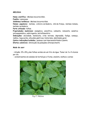 MELISSA

Nome científico: Melissa biocornis Klok..
Família: Lamiaceae.
Sinônimos botânicos: Melissa biocornis Klok.
Nomes populares: melissa, cidreira-verdadeira, chá-da-frança, melissa-romana,
melissa-verdadeira.
Parte utilizada: folhas.
Propriedades medicinais: analgésico, ansiolítico, calmante, relaxante, sedativo
antiespasmódico, adstringente, antiinflamatório
Indicações: anciedade, melancolia, crise nervosa, depressão, fadiga, cansaço,
insônia, taquicardia, afecções gástricas, histerismo, debilidade geral.
Contra-indicações/cuidados: pessoas com hipersensibilidade á planta
Efeitos colaterais: diminuição da pulsaçãoe entorpecimento

Modo de usar:

- infusão: 25 a 50 g das folhas verdes em um litro de água. Tomar de 3 a 4 xícaras
por dia
 - aromatizantes em saladas de hortaliças e frutas, omelete, molhos e carnes




                        Fig.17: Melissa
 