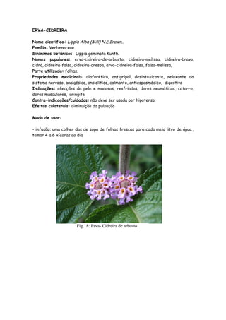 ERVA-CIDREIRA

Nome científico: Lippia Alba (Mill) N.E.Brown..
Família: Verbenaceae.
Sinônimos botânicos: Lippia geminata Kunth.
Nomes populares: erva-cidreira-de-arbusto, cidreira-melissa, cidreira-brava,
cidró, cidreira-falsa, cidreira-crespa, erva-cidreira-falsa, falsa-melissa,
Parte utilizada: folhas.
Propriedades medicinais: diaforético, antigripal, desintoxicante, relaxante do
sistema nervoso, analgésico, ansiolítico, calmante, antiespasmódico, digestiva
Indicações: afecções da pele e mucosas, resfriados, dores reumáticas, catarro,
dores musculares, laringite
Contra-indicações/cuidados: não deve ser usada por hipotenso
Efeitos colaterais: diminuição da pulsação

Modo de usar:

- infusão: uma colher das de sopa de folhas frescas para cada meio litro de água.,
tomar 4 a 6 xícaras ao dia




                      Fig.18: Erva- Cidreira de arbusto
 