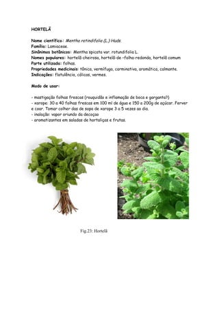 HORTELÃ

Nome científico: Mentha rotindifolia (L.) Huds.
Família: Lamiaceae.
Sinônimos botânicos: Mentha spicata var. rotundifolia L.
Nomes populares: hortelã-cheirosa, hortelã-de –folha-redonda, hortelã comum
Parte utilizada: folhas.
Propriedades medicinais: tônica, vermífuga, carminativa, aromática, calmante.
Indicações: flatulência, cólicas, vermes.

Modo de usar:

- mastigação folhas frescas (rouquidão e inflamação de boca e garganta?)
- xarope: 30 a 40 folhas frescas em 100 ml de água e 150 a 200g de açúcar. Ferver
e coar. Tomar colher das de sopa de xarope 3 a 5 vezes ao dia.
- inalação: vapor oriundo da decoçao
- aromatizantes em saladas de hortaliças e frutas.




                         Fig.23: Hortelã
 