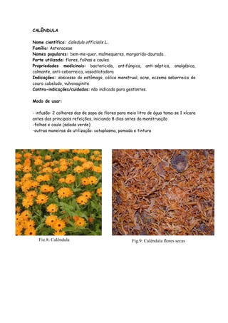 CALÊNDULA

Nome científico: Caledula officialis L..
Família: Asteraceae
Nomes populares: bem-me-quer, malmequeres, margarida-dourada .
Parte utilizada: flores, folhas e caules.
Propriedades medicinais: bactericida, antifúngica, anti-séptica, analgésica,
calmante, anti-ceborreica, vasodilatadora
Indicações: abscesso do estômago, cólica menstrual, acne, eczema seborreico do
couro cabeludo, vulvovaginite
Contra-indicações/cuidados: não indicada para gestantes.

Modo de usar:

- infusão: 2 colheres das de sopa de flores para meio litro de água toma-se 1 xícara
antes das principais refeições, iniciando 8 dias antes da menstruação
-folhas e caule (salada verde)
-outras maneiras de utilização: cataplasma, pomada e tintura




   Fig.8: Calêndula                                Fig.9: Calêndula flores secas
 