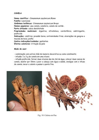 CANELA

Nome científico: Cinnamomum zeylanicum Blume
Família: Lauraceae
Sinônimos botânicos: Cinnamomun zeylanicum Breyn
Nomes populares: pau-canela, caneleira, canela-de-ceilião .
Parte utilizada: casca desidratada
Propriedades medicinais: digestiva, afrodisíaca, cardiotônica, adstringente,
piolhicida
Indicações: calafrios, pressão baixa, extremidades frias, ulcerações da gengiva e
mucosa da boca, piolho
Contra-indicações/cuidados: gestantes.
Efeitos colaterais: irritação da pele

Modo de usar:

- combinação com outros chás de maneira decorativa ou como condimento
- infusão: 1 a 3 g de canela em uma xícara
- infusão piolhicida: ferver duas xícaras das de chá de água, colocar duas cascas de
canela, abafar por 15min. Lavar a cabeça com água e sabão, enxágüe com o infuso
de canela; secar o cabelo e passar o pente fino




                            Fig. 10: Calena em Pau
 