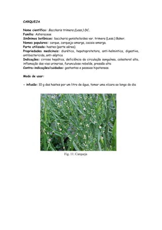 CARQUEJA

Nome científico: Baccharis trimera (Less.) DC..
Família: Asteraceae
Sinônimos botânicos: baccharis genisteiloides var. trimera (Less.) Baker.
Nomes populares: carque, carqueja-amarga, cacaia-amarga.
Parte utilizada: hastes (parte aérea).
Propriedades medicinais: diurético, hepatoprotetora, anti-helmintica, digestivo,
antibactericida, anti-séptica
Indicações: cirrose hepática, deficiência da circulação sanguínea, colesterol alto,
inflamação das vias urinarias, furunculose rebelde, pressão alta
Contra-indicações/cuidados: gestantes e pessoas hipotensas.

Modo de usar:

- infusão: 10 g das hastes por um litro de água, tomar uma xícara ao longo do dia




                             Fig. 11: Carqueja
 