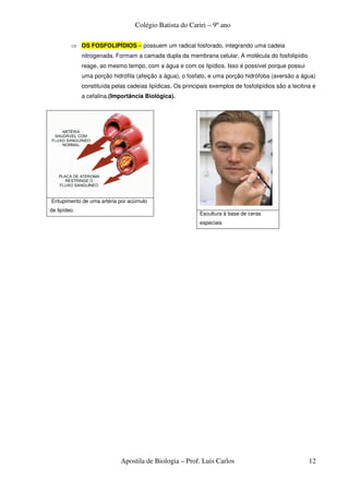 Colégio Batista do Cariri – 9º ano

         ⇒ OS FOSFOLIPÍDIOS – possuem um radical fosforado, integrando uma cadeia
              nitrogenada. Formam a camada dupla da membrana celular. A molécula do fosfolipídio
              reage, ao mesmo tempo, com a água e com os lipídios. Isso é possível porque possui
              uma porção hidrófila (afeição a água), o fosfato, e uma porção hidrófoba (aversão a água)
              constituída pelas cadeias lipídicas. Os principais exemplos de fosfolipídios são a lecitina e
              a cefalina.(Importância Biológica).




Entupimento de uma artéria por acúmulo
de lipídeo.
                                                            Escultura à base de ceras
                                                            especiais




                             Apostila de Biologia – Prof. Luis Carlos                                   12
 