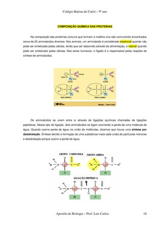Colégio Batista do Cariri – 9º ano



                           COMPOSIÇÃO QUÍMICA DAS PROTEÍNAS


     Na composição das proteínas comuns que formam a matéria viva são comumente encontrados
cerca de 20 aminoácidos diversos. Nos animais, um aminoácido é considerado essencial quando não
pode ser sintetizado pelas células, tendo que ser absorvido através da alimentação, e natural quando
pode ser sintetizado pelas células. Nos seres humanos, o fígado é o responsável pelas reações de
síntese de aminoácidos.




     Os aminoácidos se unem entre si através de ligações químicas chamadas de ligações
peptídicas. Nesse tipo de ligação, dois aminoácidos se ligam ocorrendo a perda de uma molécula de
água. Quando ocorre perda de água na união de moléculas, dizemos que houve uma síntese por
desidratação. Síntese devido a formação de uma substância maior pela união de partículas menores
e desidratação porque ocorre a perda de água.




                          Apostila de Biologia – Prof. Luis Carlos                               18
 