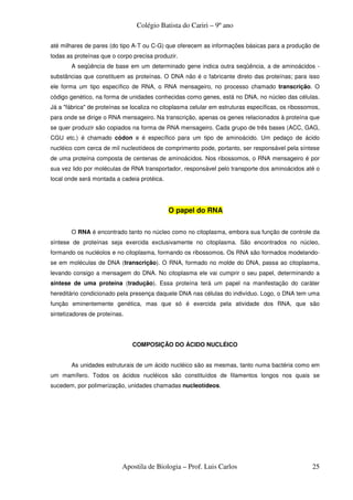 Colégio Batista do Cariri – 9º ano

até milhares de pares (do tipo A-T ou C-G) que oferecem as informações básicas para a produção de
todas as proteínas que o corpo precisa produzir.
        A seqüência de base em um determinado gene indica outra seqüência, a de aminoácidos -
substâncias que constituem as proteínas. O DNA não é o fabricante direto das proteínas; para isso
ele forma um tipo específico de RNA, o RNA mensageiro, no processo chamado transcrição. O
código genético, na forma de unidades conhecidas como genes, está no DNA, no núcleo das células.
Já a "fábrica" de proteínas se localiza no citoplasma celular em estruturas específicas, os ribossomos,
para onde se dirige o RNA mensageiro. Na transcrição, apenas os genes relacionados à proteína que
se quer produzir são copiados na forma de RNA mensageiro. Cada grupo de três bases (ACC, GAG,
CGU etc.) é chamado códon e é específico para um tipo de aminoácido. Um pedaço de ácido
nucléico com cerca de mil nucleotídeos de comprimento pode, portanto, ser responsável pela síntese
de uma proteína composta de centenas de aminoácidos. Nos ribossomos, o RNA mensageiro é por
sua vez lido por moléculas de RNA transportador, responsável pelo transporte dos aminoácidos até o
local onde será montada a cadeia protéica.




                                             O papel do RNA

        O RNA é encontrado tanto no núcleo como no citoplasma, embora sua função de controle da
síntese de proteínas seja exercida exclusivamente no citoplasma. São encontrados no núcleo,
formando os nucléolos e no citoplasma, formando os ribossomos. Os RNA são formados modelando-
se em moléculas de DNA (transcrição). O RNA, formado no molde do DNA, passa ao citoplasma,
levando consigo a mensagem do DNA. No citoplasma ele vai cumprir o seu papel, determinando a
síntese de uma proteína (tradução). Essa proteína terá um papel na manifestação do caráter
hereditário condicionado pela presença daquele DNA nas células do indivíduo. Logo, o DNA tem uma
função eminentemente genética, mas que só é exercida pela atividade dos RNA, que são
sintetizadores de proteínas.




                               COMPOSIÇÃO DO ÁCIDO NUCLÉICO


        As unidades estruturais de um ácido nucléico são as mesmas, tanto numa bactéria como em
um mamífero. Todos os ácidos nucléicos são constituídos de filamentos longos nos quais se
sucedem, por polimerização, unidades chamadas nucleotídeos.




                           Apostila de Biologia – Prof. Luis Carlos                                 25
 