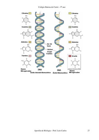 Colégio Batista do Cariri – 9º ano




Apostila de Biologia – Prof. Luis Carlos   27
 