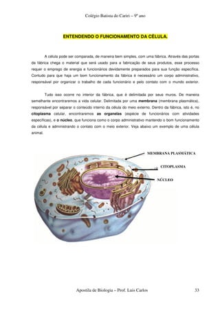 Colégio Batista do Cariri – 9º ano



                    ENTENDENDO O FUNCIONAMENTO DA CÉLULA.



          A célula pode ser comparada, de maneira bem simples, com uma fábrica. Através das portas
da fábrica chega o material que será usado para a fabricação de seus produtos, esse processo
requer o emprego de energia e funcionários devidamente preparados para sua função específica.
Contudo para que haja um bom funcionamento da fábrica é necessário um corpo administrativo,
responsável por organizar o trabalho de cada funcionário e pelo contato com o mundo exterior.


          Tudo isso ocorre no interior da fábrica, que é delimitada por seus muros. De maneira
semelhante encontraremos a vida celular. Delimitada por uma membrana (membrana plasmática),
responsável por separar o conteúdo interno da célula do meio externo. Dentro da fábrica, isto é, no
citoplasma celular, encontraremos as organelas (espécie de funcionários com atividades
específicas), e o núcleo, que funciona como o corpo administrativo mantendo o bom funcionamento
da célula e administrando o contato com o meio exterior. Veja abaixo um exemplo de uma célula
animal.




                                                                      MEMBRANA PLASMÁTICA


                                                                            CITOPLASMA


                                                                          NÚCLEO




                            Apostila de Biologia – Prof. Luis Carlos                            33
 