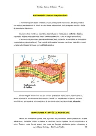 Colégio Batista do Cariri – 9º ano



                           Conhecendo a membrana plasmática


       A membrana plasmática é uma estrutura celular de grande importância. Ela é responsável
não apenas por determinar os limites de uma célula, mas também, porque regula a entrada e saída
de substâncias da mesma.


       Basicamente a membrana plasmática é constituída de moléculas de proteína e lipídios,
segundo o modelo mais aceito hoje em dia (Modelo do Mosaico Fluido de Singer e Nicholson).
       É a membrana plasmática quem é responsável pelos processos de transporte de substâncias
(que estudaremos mais adiante). Esse controle só é possível porque a membrana plasmática possui
uma característica denominada permeabilidade seletiva.




                                               Proteínas




             Dupla camada
             de lipídios



       Nessa imagem observamos a dupla camada lipídica com moléculas de proteína anexas,
destas expande-se estruturas que lembram uma "árvore", na verdade trata-se de uma estrutura
envolvida em processos de reconhecimento de estruturas estranhas, denominado glicocálix.




                       TRANSPORTE ATRAVÉS DA MEMBRANA


       Muitas das substâncias (gases, íons, açúcares, etc.) dissolvidas dentro (intracelular) ou fora
(extracelular) da célula, podem atravessar a membrana celular e passar de um compartimento a
outro. Existem várias formas através das quais as diversas substâncias podem atravessar a
                           Apostila de Biologia – Prof. Luis Carlos                               34
 
