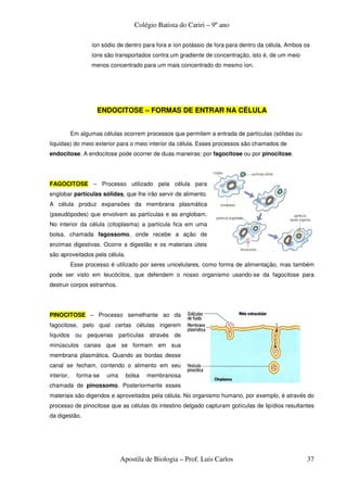 Colégio Batista do Cariri – 9º ano

                   íon sódio de dentro para fora e íon potássio de fora para dentro da célula. Ambos os
                   íons são transportados contra um gradiente de concentração, isto é, de um meio
                   menos concentrado para um mais concentrado do mesmo íon.




                     ENDOCITOSE – FORMAS DE ENTRAR NA CÉLULA


            Em algumas células ocorrem processos que permitem a entrada de partículas (sólidas ou
líquidas) do meio exterior para o meio interior da célula. Esses processos são chamados de
endocitose. A endocitose pode ocorrer de duas maneiras: por fagocitose ou por pinocitose.




FAGOCITOSE – Processo utilizado pela célula para
englobar partículas sólidas, que lhe irão servir de alimento.
A célula produz expansões da membrana plasmática
(pseudópodes) que envolvem as partículas e as englobam.
No interior da célula (citoplasma) a partícula fica em uma
bolsa, chamada fagossomo, onde recebe a ação de
enzimas digestivas. Ocorre a digestão e os materiais úteis
são aproveitados pela célula.
            Esse processo é utilizado por seres unicelulares, como forma de alimentação, mas também
pode ser visto em leucócitos, que defendem o nosso organismo usando-se da fagocitose para
destruir corpos estranhos.




PINOCITOSE – Processo semelhante ao da
fagocitose, pelo qual certas células ingerem
líquidos ou pequenas partículas através de
minúsculos canais que se formam em sua
membrana plasmática. Quando as bordas desse
canal se fecham, contendo o alimento em seu
interior,     forma-se   uma    bolsa   membranosa
chamada de pinossomo. Posteriormente esses
materiais são digeridos e aproveitados pela célula. No organismo humano, por exemplo, é através do
processo de pinocitose que as células do intestino delgado capturam gotículas de lipídios resultantes
da digestão.




                               Apostila de Biologia – Prof. Luis Carlos                              37
 