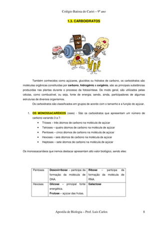 Colégio Batista do Cariri – 9º ano

                                     1.3. CARBOIDRATOS




       Também conhecidos como açúcares, glucídios ou hidratos de carbono, os carboidratos são
moléculas orgânicas constituídas por carbono, hidrogênio e oxigênio, são as principais substâncias
produzidas nas plantas durante o processo da fotossíntese. De modo geral, são utilizados pelas
células, como combustível, ou seja, fonte de energia; sendo, ainda, participadores de algumas
estruturas de diversos organismos.
       Os carboidratos são classificados em grupos de acordo com o tamanho e a função do açúcar.


   1. OS MONOSSACARÍDEOS (oses) - São os carboidratos que apresentam um número de
       carbono variando 3 a 7:
           •   Trioses – três átomos de carbono na molécula de açúcar
           •   Tetroses – quatro átomos de carbono na molécula de açúcar
           •   Pentoses – cinco átomos de carbono na molécula de açúcar
           •   Hexoses – seis átomos de carbono na molécula de açúcar
           •   Heptoses – sete átomos de carbono na molécula de açúcar


Os monossacarídeos que iremos destacar apresentam alto valor biológico, sendo eles:




        Pentoses     Desoxirribose – participa da        Ribose      –   participa   da
                     formação da molécula de             formação da molécula de
                     DNA.                                RNA.
        Hexoses      Glicose     –   principal   fonte   Galactose
                     energética.
                     Frutose – açúcar das frutas.




                          Apostila de Biologia – Prof. Luis Carlos                              8
 