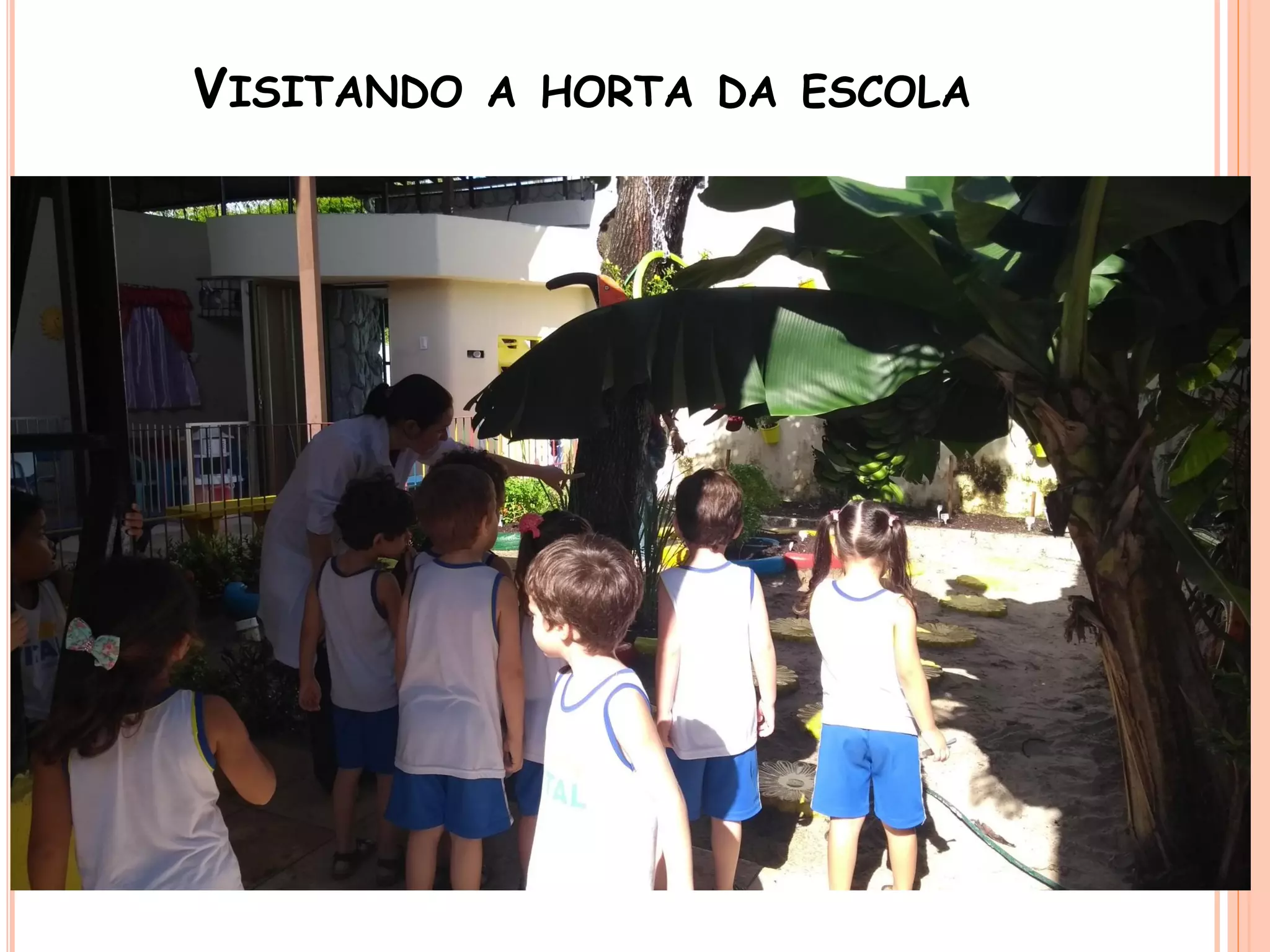 VISITANDO A HORTA DA ESCOLA
 