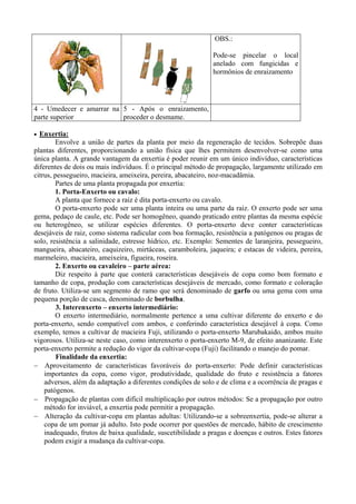 horticultura by rofinoclemente - Issuu
