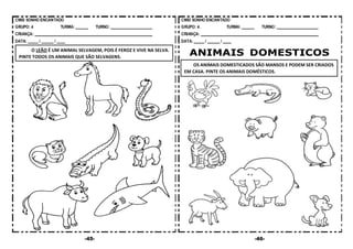 -45- -46-
ANIMAIS DOMESTICOS
OS ANIMAIS DOMESTICADOS SÃO MANSOS E PODEM SER CRIADOS
EM CASA. PINTE OS ANIMAIS DOMÉSTICOS.
O LEÃO É UM ANIMAL SELVAGEM, POIS É FEROZ E VIVE NA SELVA.
PINTE TODOS OS ANIMAIS QUE SÃO SELVAGENS.
 