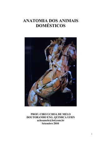 ANATOMIA DOS ANIMAIS
    DOMÉSTICOS




   PROF: CIRO UCHOA DE MELO
 DOUTORANDO ENG. QÚIMICA UFRN
      uchoamelo@bol.com.br
          Setembro 2010


                                1
 