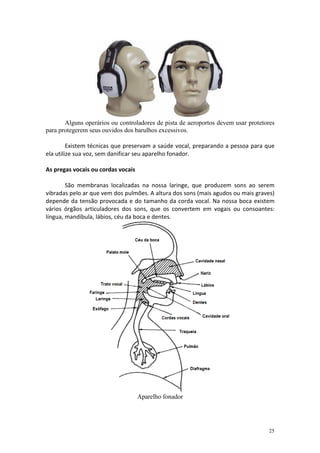Alguns operários ou controladores de pista de aeroportos devem usar protetores
para protegerem seus ouvidos dos barulhos excessivos.
Existem técnicas que preservam a saúde vocal, preparando a pessoa para que
ela utilize sua voz, sem danificar seu aparelho fonador.
As pregas vocais ou cordas vocais
São membranas localizadas na nossa laringe, que produzem sons ao serem
vibradas pelo ar que vem dos pulmões. A altura dos sons (mais agudos ou mais graves)
depende da tensão provocada e do tamanho da corda vocal. Na nossa boca existem
vários órgãos articuladores dos sons, que os convertem em vogais ou consoantes:
língua, mandíbula, lábios, céu da boca e dentes.

Aparelho fonador

25

 
