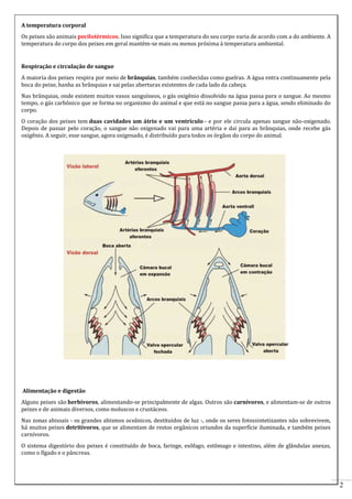 2 
A temperatura corporal 
Os peixes são animais pecilotérmicos. Isso significa que a temperatura do seu corpo varia de acordo com a do ambiente. A 
temperatura do corpo dos peixes em geral mantém-se mais ou menos próxima à temperatura ambiental. 
Respiração e circulação de sangue 
A maioria dos peixes respira por meio de brânquias, também conhecidas como guelras. A água entra continuamente pela 
boca do peixe, banha as brânquias e sai pelas aberturas existentes de cada lado da cabeça. 
Nas brânquias, onde existem muitos vasos sanguíneos, o gás oxigênio dissolvido na água passa para o sangue. Ao mesmo 
tempo, o gás carbônico que se forma no organismo do animal e que está no sangue passa para a água, sendo eliminado do 
corpo. 
O coração dos peixes tem duas cavidades um átrio e um ventrículo - e por ele circula apenas sangue não-oxigenado. 
Depois de passar pelo coração, o sangue não oxigenado vai para uma artéria e dai para as brânquias, onde recebe gás 
oxigênio. A seguir, esse sangue, agora oxigenado, é distribuído para todos os órgãos do corpo do animal. 
Alimentação e digestão 
Alguns peixes são herbívoros, alimentando-se principalmente de algas. Outros são carnívoros, e alimentam-se de outros 
peixes e de animais diversos, como moluscos e crustáceos. 
Nas zonas abissais - os grandes abismos oceânicos, destituídos de luz -, onde os seres fotossintetizantes não sobrevivem, 
há muitos peixes detritívoros, que se alimentam de restos orgânicos oriundos da superfície iluminada, e também peixes 
carnívoros. 
O sistema digestório dos peixes é constituído de boca, faringe, esôfago, estômago e intestino, além de glândulas anexas, 
como o fígado e o pâncreas. 
 
