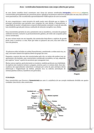 Aves - vertebrados homeotermos com corpo coberto por penas
As aves (latim científico: Aves) constituem uma classe de animais vertebrados, tetrápodes,endotérmicos, ovíparos,
caracterizados principalmente por possuírem penas, apêndices locomotores anteriores modificados em asas, bico córneo e
ossos pneumáticos. São reconhecidas aproximadamente 9.000 espécies de aves no mundo.
As aves conquistaram o meio terrestre de modo muito mais eficiente que os répteis. A
principal característica que permitiu essa conquista foi, sem dúvida, a homeotermia, a
capacidade de manter a temperatura corporal relativamente constante à custa de uma alta
taxa metabólica gerada pela intensa combustão de alimento energético nas células.
Essa característica permitiu às aves, juntamente com os mamíferos, a invasão de qualquer
ambiente terrestre, inclusive os permanentemente gelados, até então não ocupados pelos
outros vertebrados.
As aves variam muito em seu tamanho, dos minúsculos beija-flores a espécies de grande
porte como o avestruz e a ema. Note que todos os pássaros são aves, mas nem todas as
aves são pássaros.
Avestruz

Os pássaros estão incluidos na ordem Passeriformes, constituindo a ordem mais rica, ou
seja, com maior número de espécies dentro do grupo das aves.
Enquanto a maioria das aves são caracterizadas pelo vôo, as ratitas não podem voar ou
apresentam vôo limitado, uma característica considerada secundária, ou seja, adquirida
por espécies "novas" a partir de ancestrais que conseguiam voar.
Muitas outras espécies, particularmente as insulares, também perderam essa habilidade.
As espécies não-voadoras incluem o pinguim, avestruz, quivi, e o extinto dodo. Aves nãovoadoras são especialmente vulneráveis à extinção por conta da ação antrópica direta
(destruição e fragmentação do habitat, poluição etc.) ou indireta (introdução de
animais/plantas exóticos, mamíferos em particular).
Pinguin
A circulação
Uma característica que favorece a homeotermia nas aves é a existência de um coração totalmente dividido em quatro
cavidades: dois átrios e dois ventrículos.

12

 
