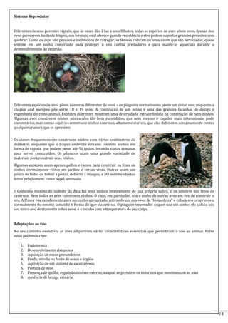 Sistema Reprodutor

Diferentes de seus parentes répteis, que às vezes dão à luz a seus filhotes, todas as espécies de aves põem ovos. Apesar dos
ovos parecerem bastante frágeis, seu formato oval oferece grande resistência e eles podem suportar grandes pressões sem
quebrar. Como os ovos são pesados e incômodos de carregar, as fêmeas colocam os ovos assim que são fertilizadas, quase
sempre em um ninho construído para proteger o ovo contra predadores e para mantê-lo aquecido durante o
desenvolvimento do embrião.

Diferentes espécies de aves põem números diferentes de ovos – os pinguins normalmente põem um único ovo, enquanto o
chapim azul europeu põe entre 18 e 19 ovos. A construção de um ninho é uma das grandes façanhas de design e
engenharia do reino animal. Espécies diferentes mostram uma diversidade extraordinária na construção de seus ninhos.
Algumas aves constroem ninhos minúsculos tão bem escondidos, que nem mesmo o caçador mais determinado pode
encontrá-los, mas outras espécies constroem ninhos enormes, altamente visíveis, que elas defendem corajosamente contra
qualquer criatura que se aproxime.
Os cisnes frequentemente constroem ninhos com vários centímetros de
diâmetro, enquanto que o Scopus umbretta africano constrói ninhos em
forma de cúpula, que podem pesar até 50 quilos, levando várias semanas
para serem construídos. Os pássaros usam uma grande variedade de
materiais para construir seus ninhos.
Algumas espécies usam apenas galhos e ramos para construir os tipos de
ninhos normalmente vistos em jardins e cercas vivas. Outras usam um
pouco de tudo: de folhas a penas, debarro a musgos, e até mesmo objetos
feitos pelo homem, como papel laminado.
O Collocalia maxima do sudeste da Ásia faz seus ninhos inteiramente de sua própria saliva, e os constrói nos tetos de
cavernas. Nem todas as aves constroem ninhos. O cuco, em particular, usa o ninho de outras aves em vez de construir o
seu. A fêmea voa rapidamente para um ninho apropriado, retirando um dos ovos da “hospedeira” e coloca seu próprio ovo,
normalmente do mesmo tamanho e forma do que ela retirou. O pinguim imperador sequer usa um ninho: ele coloca seu
seu único ovo diretamente sobre neve, e o incuba com a temperatura de seu corpo.

Adaptações ao vôo
No seu caminho evolutivo, as aves adquiriram várias características essenciais que permitiram o vôo ao animal. Entre
estas podemos citar:
1.
2.
3.
4.
5.
6.
7.
8.

Endotermia
Desenvolvimento das penas
Aquisição de ossos pneumáticos
Perda, atrofia ou fusão de ossos e órgãos
Aquisição de um sistema de sacos aéreos.
Postura de ovos
Presença de quilha, expansão do osso esterno, na qual se prendem os músculos que movimentam as asas
Ausência de bexiga urinária

14

 