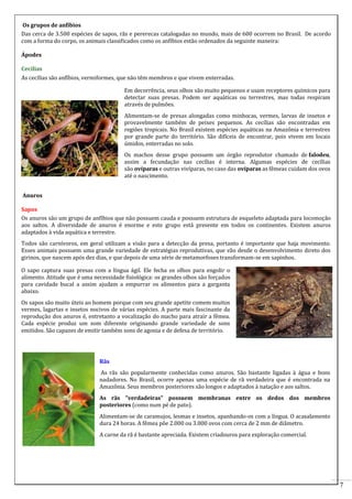 Os grupos de anfíbios
Das cerca de 3.500 espécies de sapos, rãs e pererecas catalogadas no mundo, mais de 600 ocorrem no Brasil. De acordo
com a forma do corpo, os animais classificados como os anfíbios estão ordenados da seguinte maneira:
Ápodes
Cecílias
As cecílias são anfíbios, vermiformes, que não têm membros e que vivem enterradas.
Em decorrência, seus olhos são muito pequenos e usam receptores químicos para
detectar suas presas. Podem ser aquáticas ou terrestres, mas todas respiram
através de pulmões.
Alimentam-se de presas alongadas como minhocas, vermes, larvas de insetos e
provavelmente também de peixes pequenos. As cecílias são encontradas em
regiões tropicais. No Brasil existem espécies aquáticas na Amazônia e terrestres
por grande parte do território. São difíceis de encontrar, pois vivem em locais
úmidos, enterradas no solo.
Os machos desse grupo possuem um órgão reprodutor chamado de falodeu,
assim a fecundação nas cecílias é interna. Algumas espécies de cecílias
são ovíparas e outras vivíparas, no caso das ovíparas as fêmeas cuidam dos ovos
até o nascimento.
Anuros
Sapos
Os anuros são um grupo de anfíbios que não possuem cauda e possuem estrutura de esqueleto adaptada para locomoção
aos saltos. A diversidade de anuros é enorme e este grupo está presente em todos os continentes. Existem anuros
adaptados à vida aquática e terrestre.
Todos são carnívoros, em geral utilizam a visão para a detecção da presa, portanto é importante que haja movimento.
Esses animais possuem uma grande variedade de estratégias reprodutivas, que vão desde o desenvolvimento direto dos
girinos, que nascem após dez dias, e que depois de uma série de metamorfoses transformam-se em sapinhos.
O sapo captura suas presas com a língua ágil. Ele fecha os olhos para engolir o
alimento. Atitude que é uma necessidade fisiológica: os grandes olhos são forçados
para cavidade bucal a assim ajudam a empurrar os alimentos para a garganta
abaixo.
Os sapos são muito úteis ao homem porque com seu grande apetite comem muitos
vermes, lagartas e insetos nocivos de várias espécies. A parte mais fascinante da
reprodução dos anuros é, entretanto a vocalização do macho para atrair a fêmea.
Cada espécie produz um som diferente originando grande variedade de sons
emitidos. São capazes de emitir também sons de agonia e de defesa de território.

Rãs
As rãs são popularmente conhecidas como anuros. São bastante ligadas à água e bons
nadadores. No Brasil, ocorre apenas uma espécie de rã verdadeira que é encontrada na
Amazônia. Seus membros posteriores são longos e adaptados à natação e aos saltos.
As rãs "verdadeiras" possuem membranas entre os dedos dos membros
posteriores (como num pé de pato).
Alimentam-se de caramujos, lesmas e insetos, apanhando-os com a língua. O acasalamento
dura 24 horas. A fêmea põe 2.000 ou 3.000 ovos com cerca de 2 mm de diâmetro.
A carne da rã é bastante apreciada. Existem criadouros para exploração comercial.

7

 